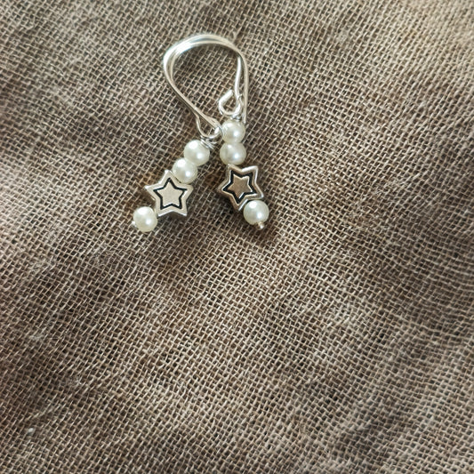 Charm Earrings