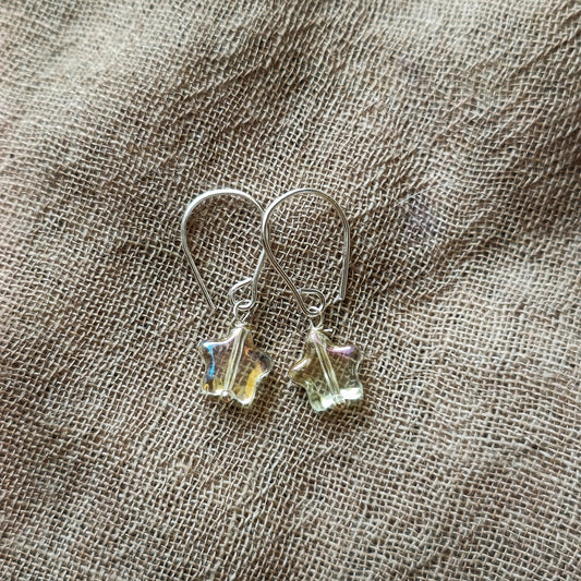 Charm Earrings