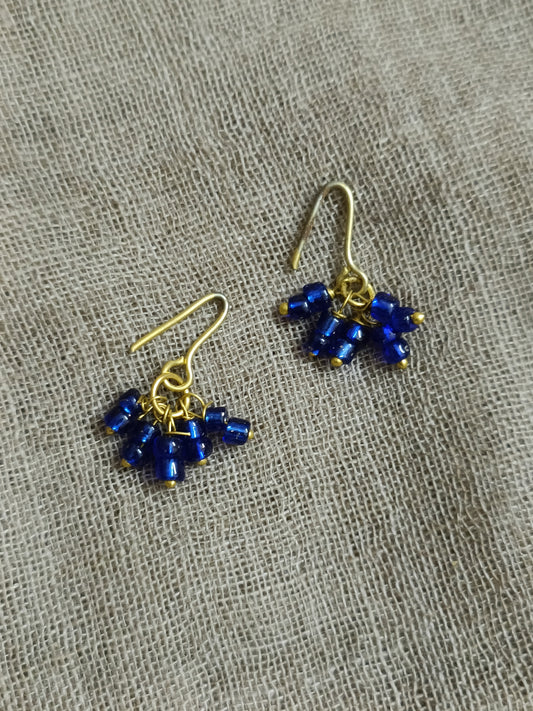 Small Hanging Earrings