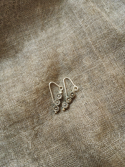 Small Hanging Earrings Feb