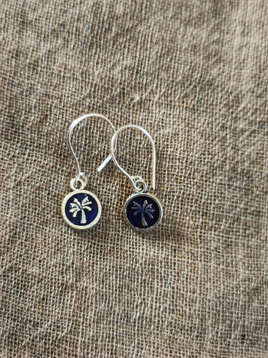 Nariyal coin blue 2